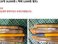 2026년1월10일(토) 북한..