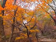 (진행)2025년11월8일(토..