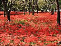 (입금요/대기:5)제157회..