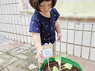 2026년 9월 3일(목) 바다..