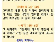 고침안면