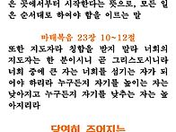 등고자비