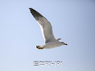 당진으로 떠난 섬여행