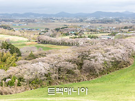 서산으로 떠난 봄여행