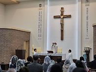 부활 제5주일(생명주일) ..