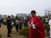 주님 수난 성지주일.