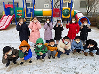 별꽃아재비반 바이올린,코..