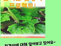 &clubs;질경이 프로젝트!&clubs;