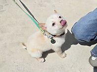 마루~땅콩~다미~ 남매친구..