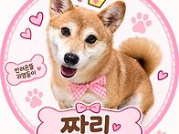 시바와 웰시의 어딘가.. ..