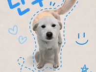 귀염둥이 단추~!!