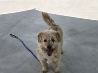 행복하시개...♧