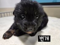 맥스형제 번개~!!