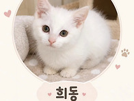 매력쟁이 희동이