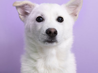 사랑스런 아이들의 가족을..