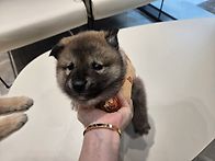 한별이네 가족이 들어왔어..