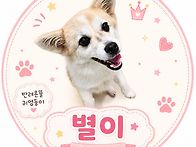 애교쟁이 별이🐶