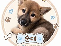 순둥순둥 순대🐶