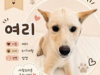 여리여리한 여리!😊