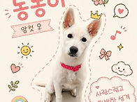 사랑스런 깨발랄 공주 동동..
