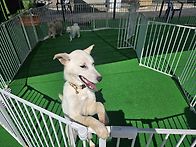 산책하고 놀아요~♡.♡