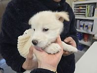 형님이되어가는 우리담이