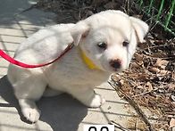 우유.두유.연유 삼남매~♡