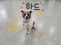 멋진아이 하드👍