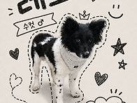 🩶카리스마 레오🩶