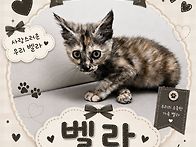 벨라가족 찾아요~~~~..