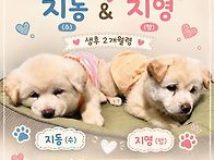 사랑스러운 지영 &지동남매
