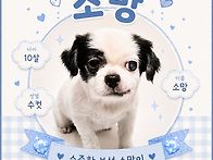 소중한 소망이🐶