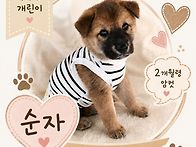 순자 미자 자매들🥰
