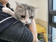 말랑~말랑~ 말랑이&#129303;