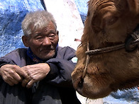 사람과 사랑을 울..