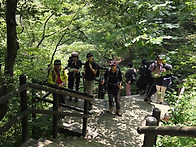 26.6.3 (수) 도..