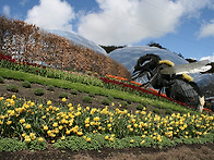 세계 최대 그린하..