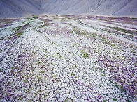 미국 불모지의 아..