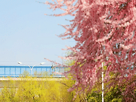 중국의 24절기 춘..