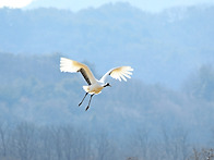 철원군 동송읍 이..