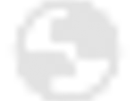 진정한 조직이란 ?