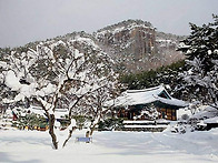 남은 인생 멋지게/김무식