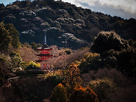 우리의 삶은 본질적으로 ..