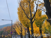 늦가을 남산 길 ..