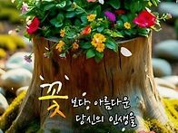[몇 번을 읽어도 ..