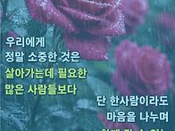 🧡천운..