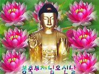 🌺오..