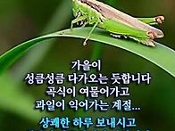 🍃백로..