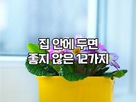 집안에두면좋지않..