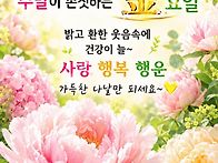 🌼좋은